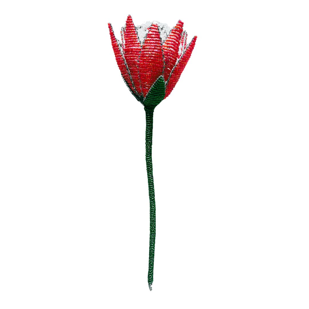 African Beaded Protea - Red