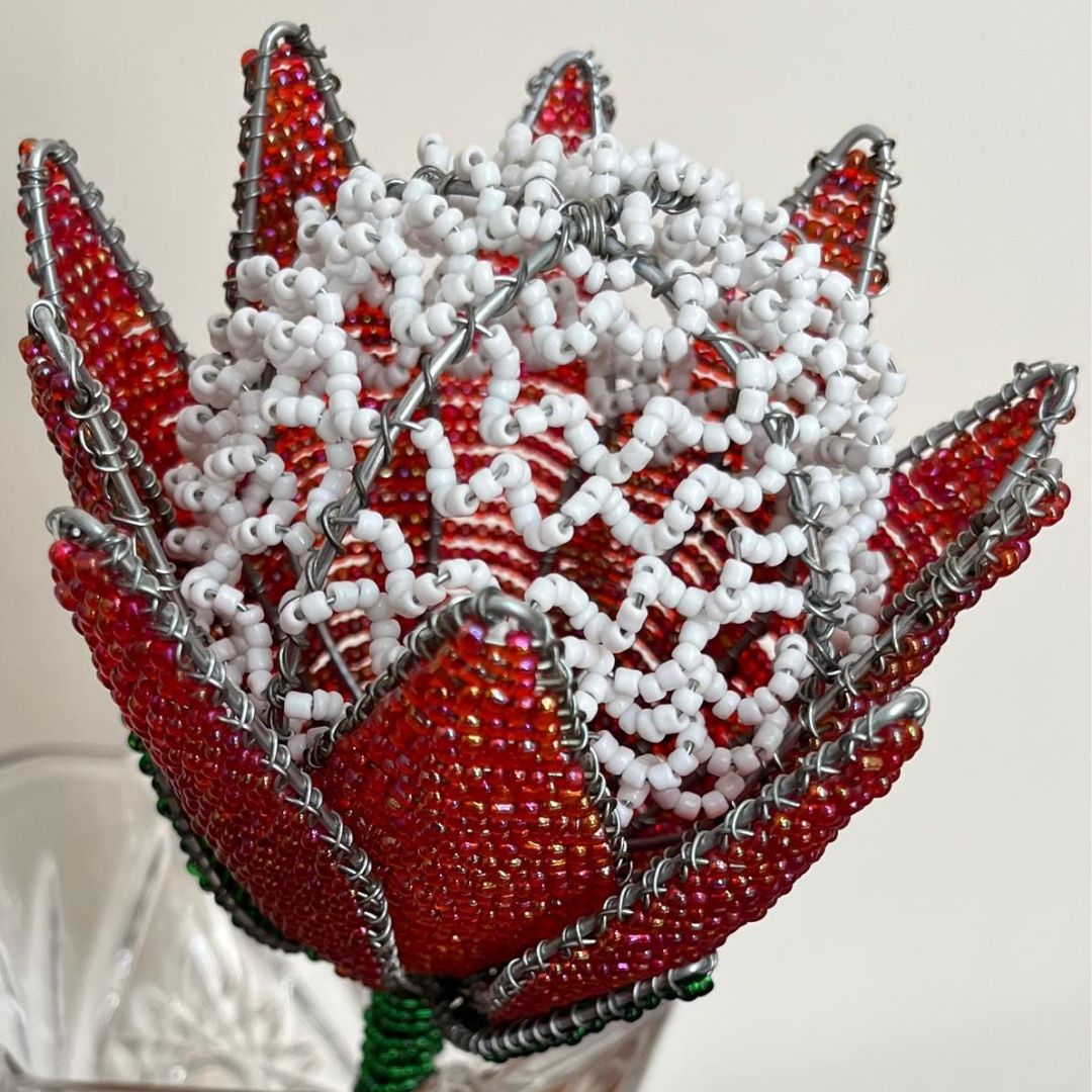 African Beaded Protea - Red