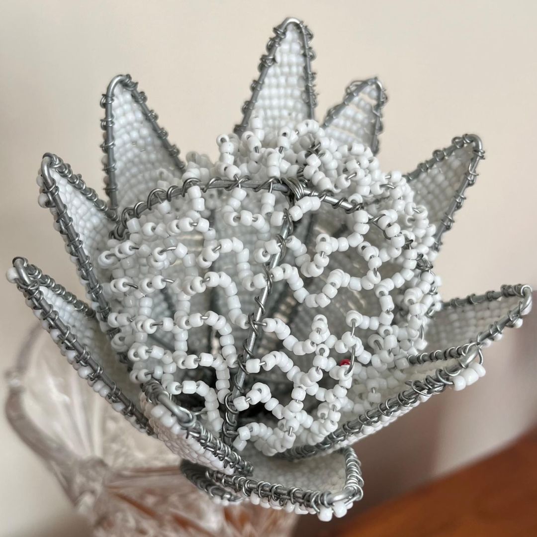 African Beaded Protea - White