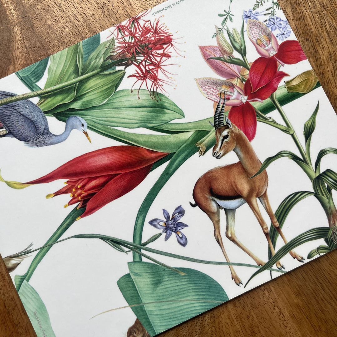 Mousepad - Springbuck (Rectangular)
