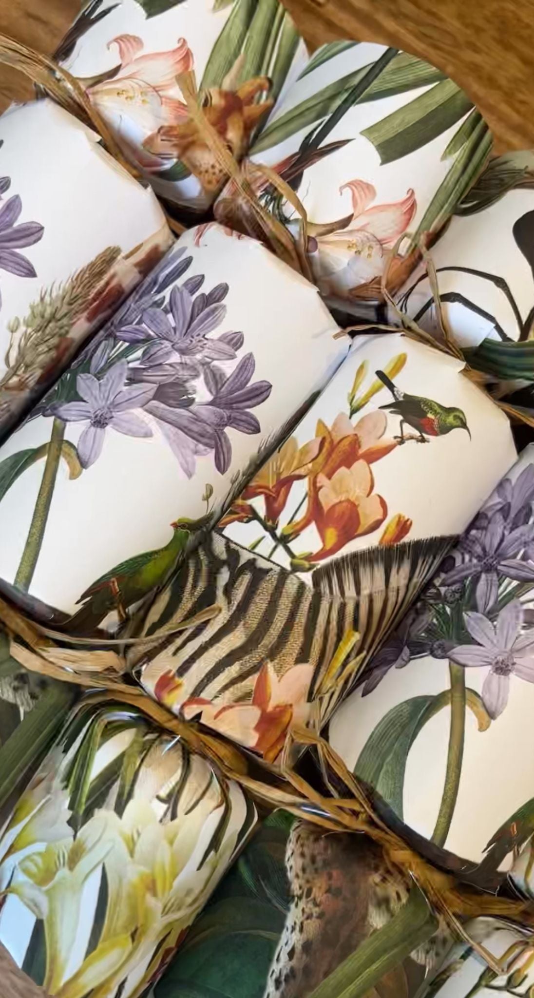 No Snap South African Crackers - Safari