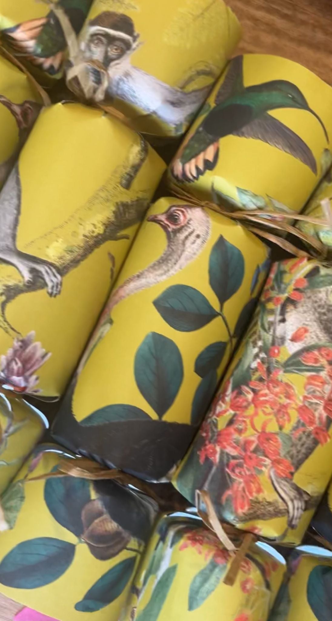 No Snap South African Crackers - Ostrich & Monkey