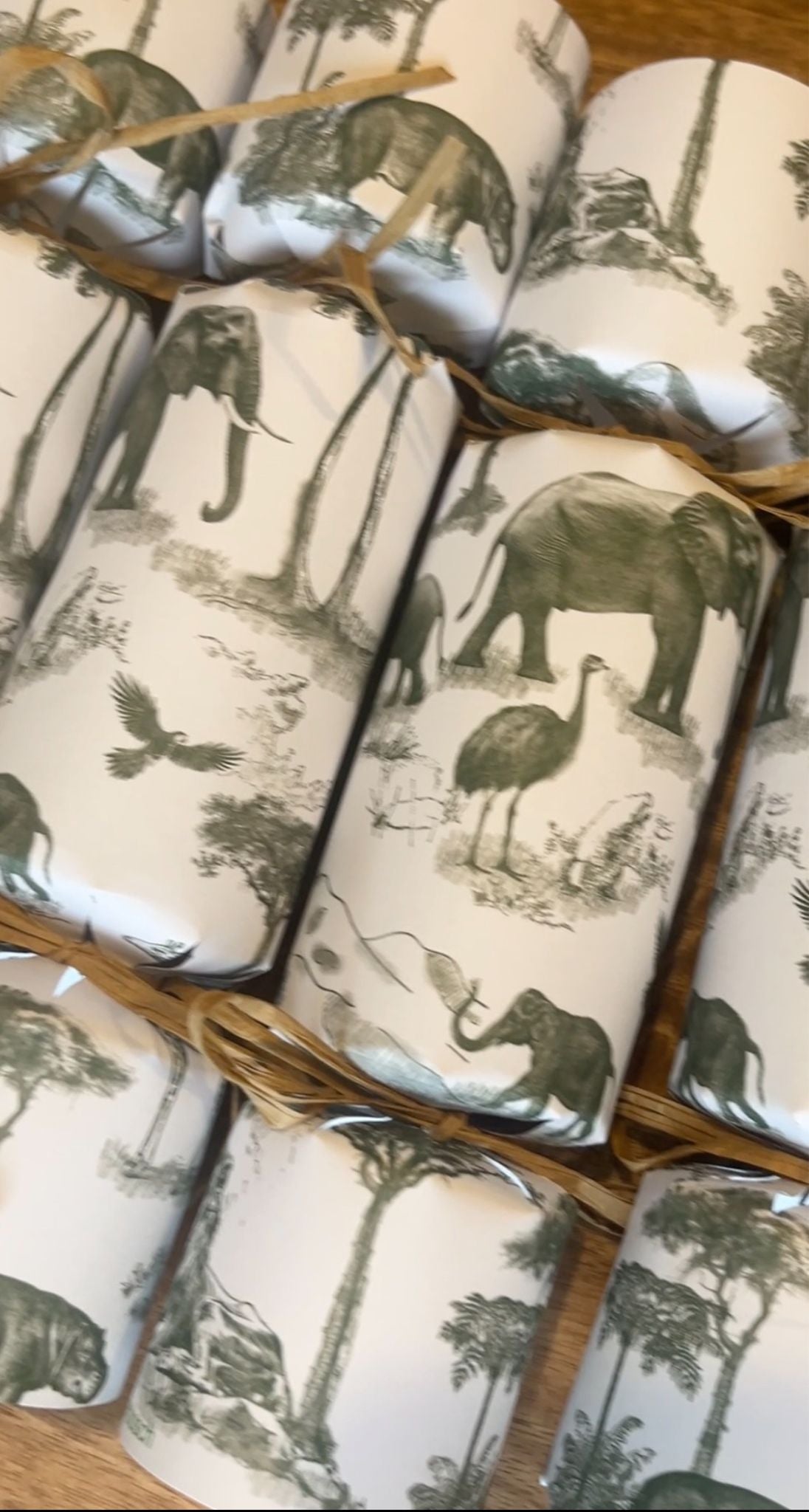 No Snap South African Crackers - Green & White