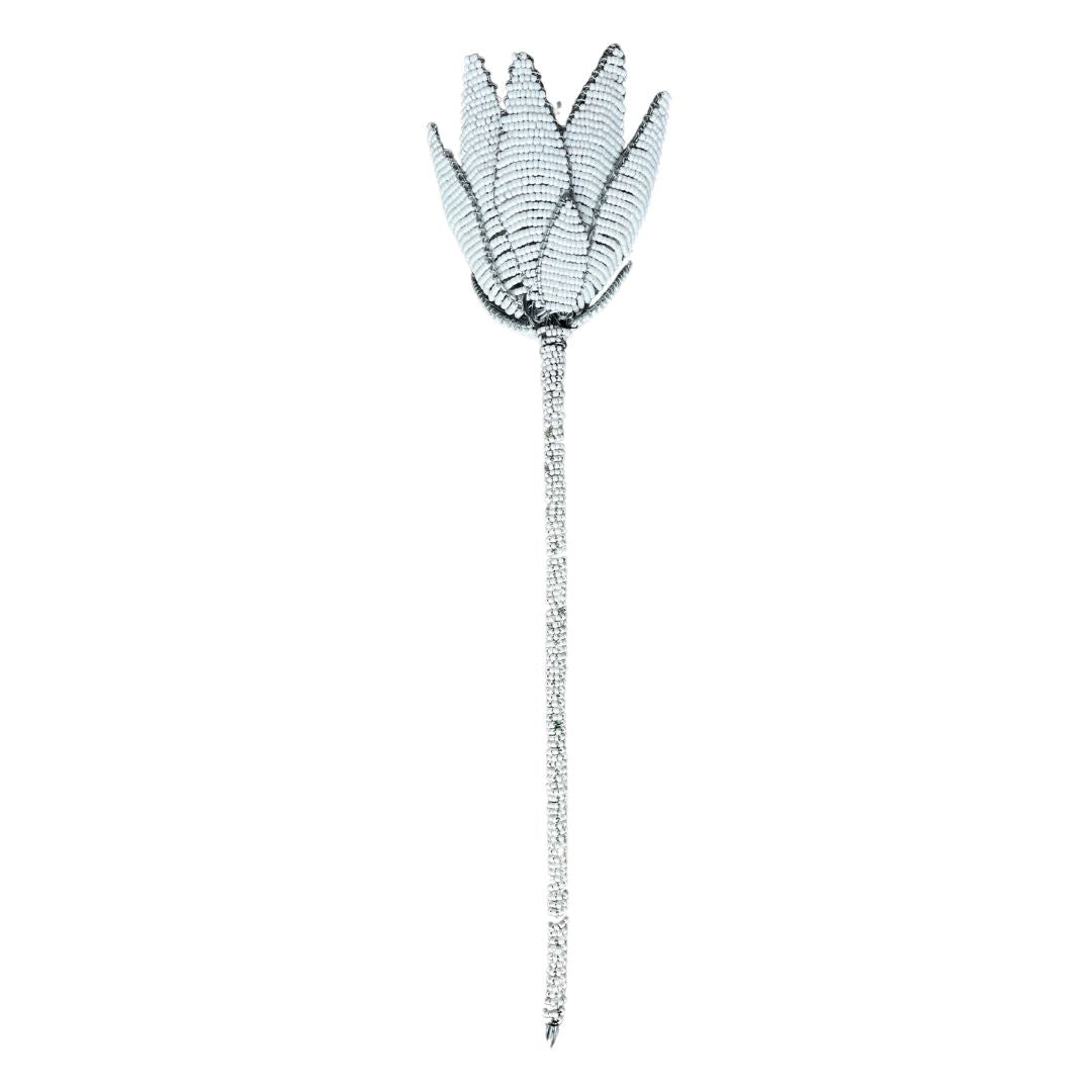 African Beaded Protea - White