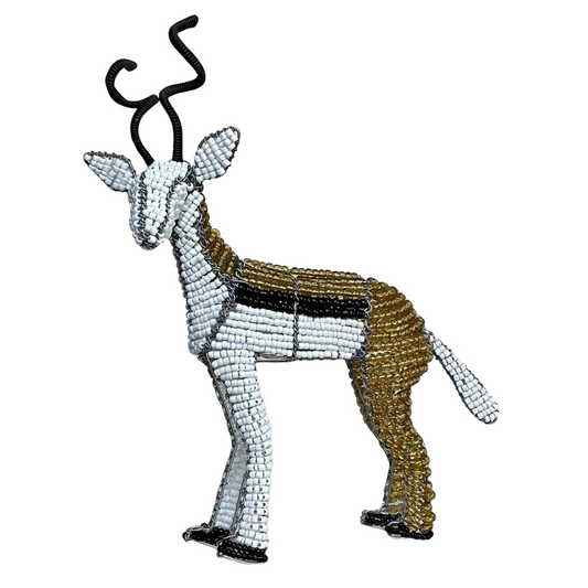 African Beaded Springbok
