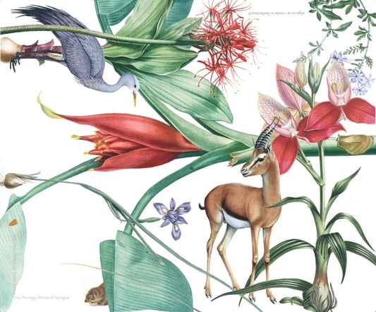 Mousepad - Springbuck  (Rectangular)