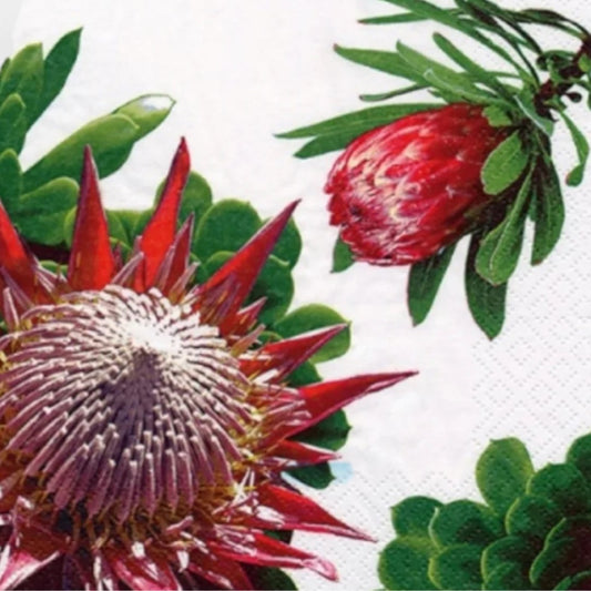 Serviettes - Red Protea